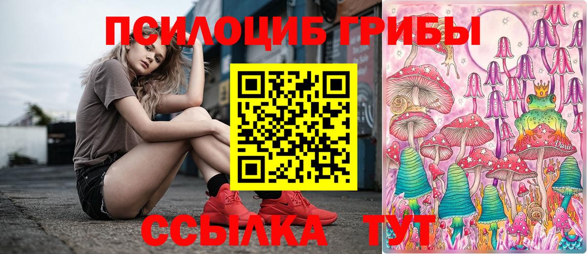 Псилоцибиновые грибы Cubensis  Вход с VPN  Саянск 