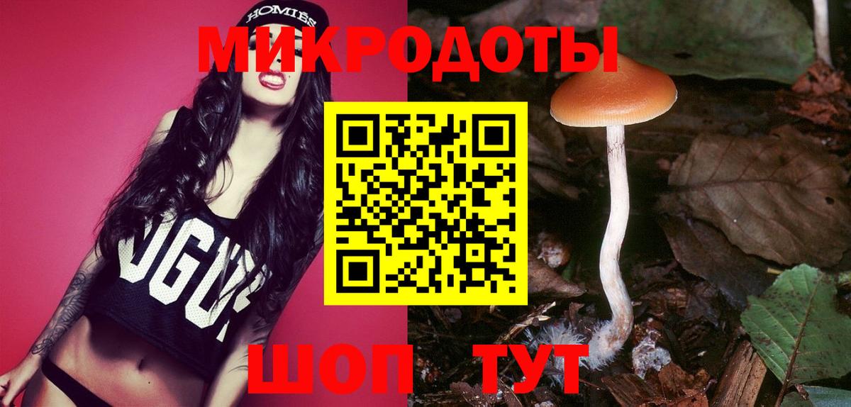 Псилоцибиновые грибы мицелий Саянск
